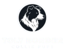 tolybordercolliepups.site